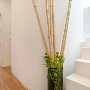  Apartamento Genteel Santa Teresa Espanha